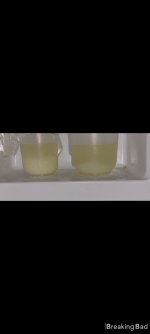 rxbsdvc5a8.jpg