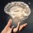 Brain