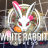 WhiteRabbitExpress